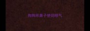 狗狗用鼻子使劲喷气