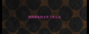 狗狗被鱼刺卡住了怎么办