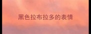 黑色拉布拉多的表情