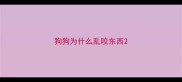 狗狗为什么乱咬东西