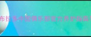 最新版拉布拉多中国俱乐部官方养护指南与训练秘籍