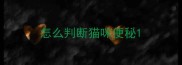 怎么判断猫咪便秘