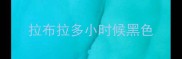 拉布拉多小时候黑色