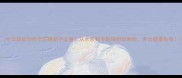 中华草龟饲养全攻略新手必看从水质到冬眠保姆级教程养出健康龟龟