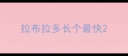 拉布拉多长个最快