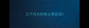 三个月大的哈士奇应该