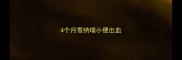 4个月雪纳瑞小便出血