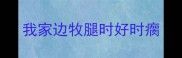 我家边牧腿时好时瘸
