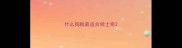 什么狗粮最适合哈士奇