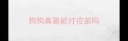 狗狗真菌能打疫苗吗
