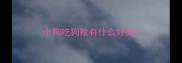 小狗吃狗粮有什么好处