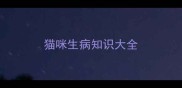 猫咪生病知识大全