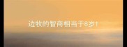 边牧的智商相当于8岁