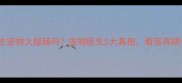 狗狗能吃宠物火腿肠吗宠物医生5大真相看完再喂也不迟