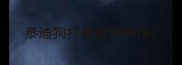泰迪狗打疫苗的顺序