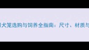 成年哈士奇专用犬笼选购与饲养全指南尺寸材质与安全设计深度