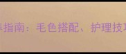 泰迪棕色与白色混养指南毛色搭配护理技巧与健康注意事项全