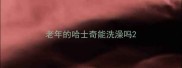 老年的哈士奇能洗澡吗