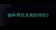 猫咪得狂犬病的特征