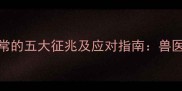 警惕哈士奇眼睛异常的五大征兆及应对指南兽医犬类眼疾预防全攻略