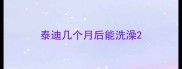 泰迪几个月后能洗澡