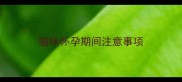 猫咪怀孕期间注意事项