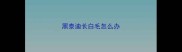 黑泰迪长白毛怎么办