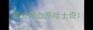 黄金眼血系哈士奇