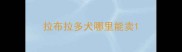 拉布拉多犬哪里能卖