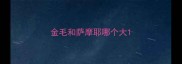 金毛和萨摩耶哪个大