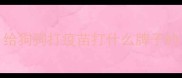 给狗狗打疫苗打什么牌子的