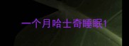 一个月哈士奇睡眠