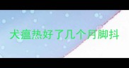 犬瘟热好了几个月脚抖