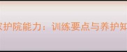 金毛犬看家护院能力训练要点与养护知识全指南