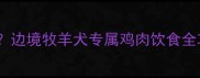 边牧可以吃鸡脯肉吗边境牧羊犬专属鸡肉饮食全攻略附营养配比表