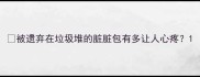 被遗弃在垃圾堆的脏脏包有多让人心疼