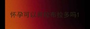 怀孕可以养拉布拉多吗