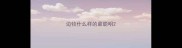 边牧什么样的最聪明