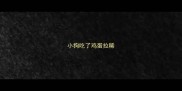 小狗吃了鸡蛋拉稀