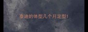 泰迪的体型几个月定型