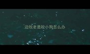 边牧老是咬小狗怎么办