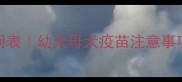 母狗产后疫苗接种时间表幼犬母犬疫苗注意事项全攻略新手必看