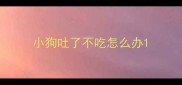 小狗吐了不吃怎么办