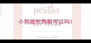 小狗就吃狗粮可以吗