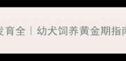 藏獒幼犬5个月大发育全幼犬饲养黄金期指南附成长对比图