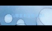 佛山哪里有宠物培训