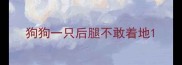 狗狗一只后腿不敢着地