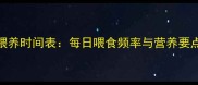 满月哈士奇科学喂养时间表每日喂食频率与营养要点附成长指南