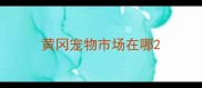 黄冈宠物市场在哪