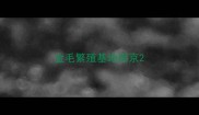 金毛繁殖基地南京